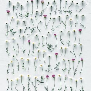 Meet your Posher, Ava